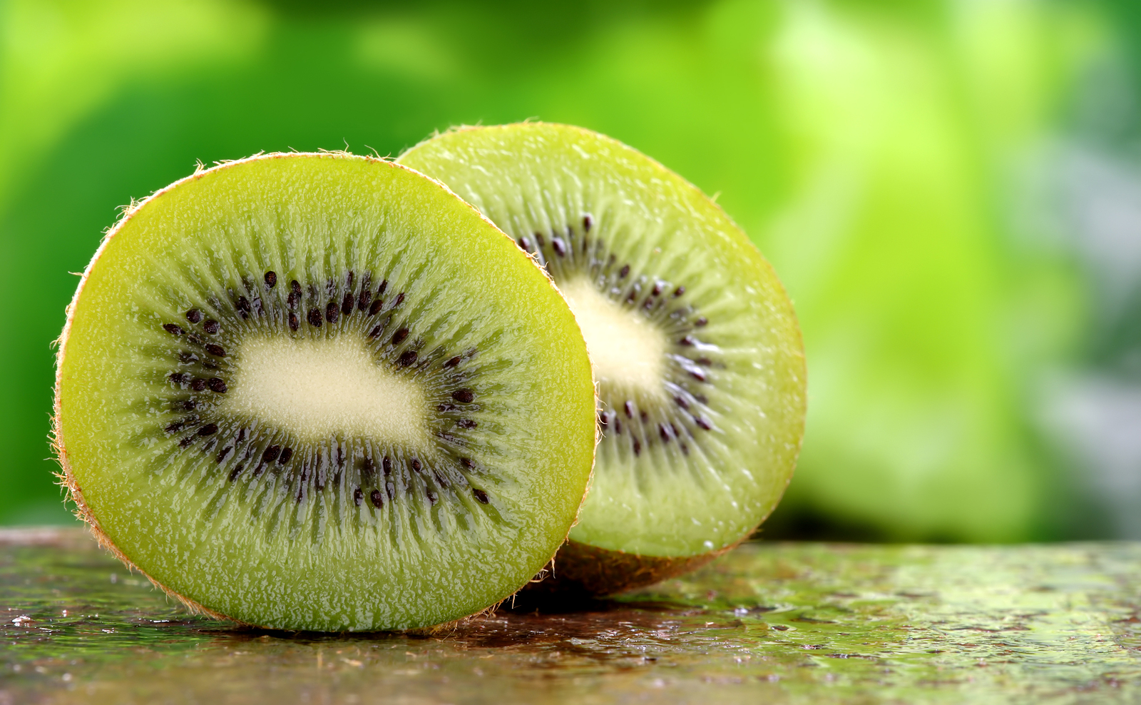 quel animal mange des kiwis