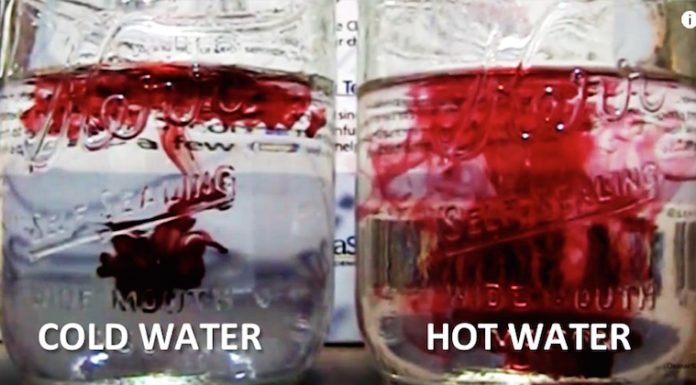 Eau froide vs eau chaude: l’une d’elles peut endommager votre santé. Savez-vous laquelle?