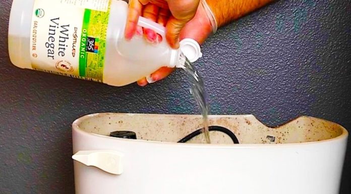 Mettez du vinaigre dans le réservoir de la toilette et regardez ce qui se passe lorsque vous tirez la chaîne