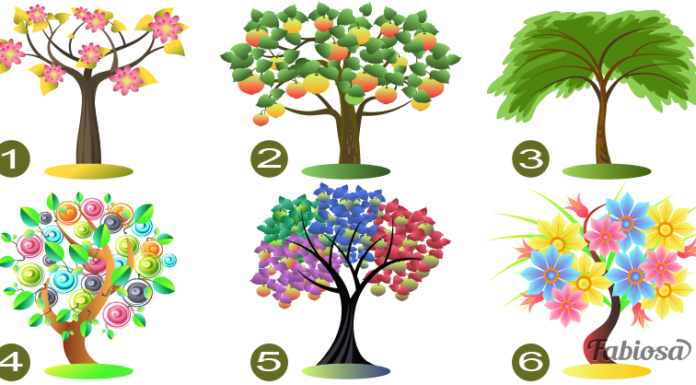 Voici le test de l’arbre. Choisissez un arbre et nous vous dirons quelque chose d’important sur votre personnalité.