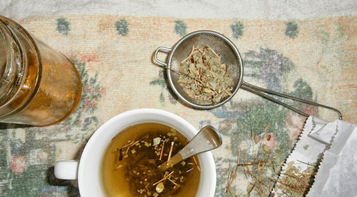Utilisez du thé à l’origan pour soulager les maux de gorge, la grippe, les rhumes, les infections et plus encore