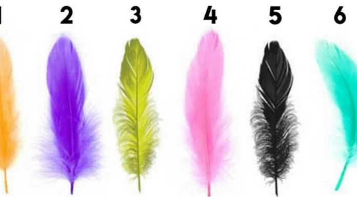 Choisissez une plume et découvrez ce qu’elle dit sur votre personnalité!